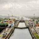 Défis climatiques et espèces exotiques envahissantes : un dangereux combo pour la biodiversité