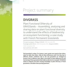 DIVGRASS | Assembling, analysing and sharing data on plant functional diversity to understand the effects of biodiversity on ecosystem functioning