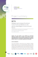 Betsi | Invertébrés du sol : traits fonctionnels et bio-indicateurs
