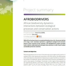 AFROBIODRIVERS | African biodiversity dynamics: interactions between ecological processes and conservation actions