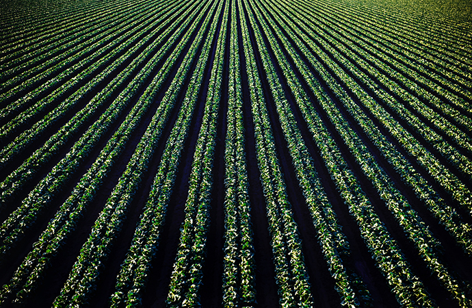 #ScienceDurable – Menaces futures sur la biodiversité et pistes pour les réduire