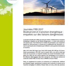 Journées FRB 2017 Biodiversité et transition énergétique : enquêtes sur des liaisons dangereuses