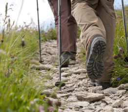 Action n°6 : Je reste sur les « sentiers battus »