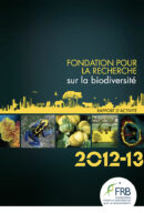 Rapport d’activité 2012-2013