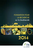 Rapport d’activité 2014