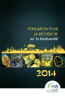Rapport d’activité 2014