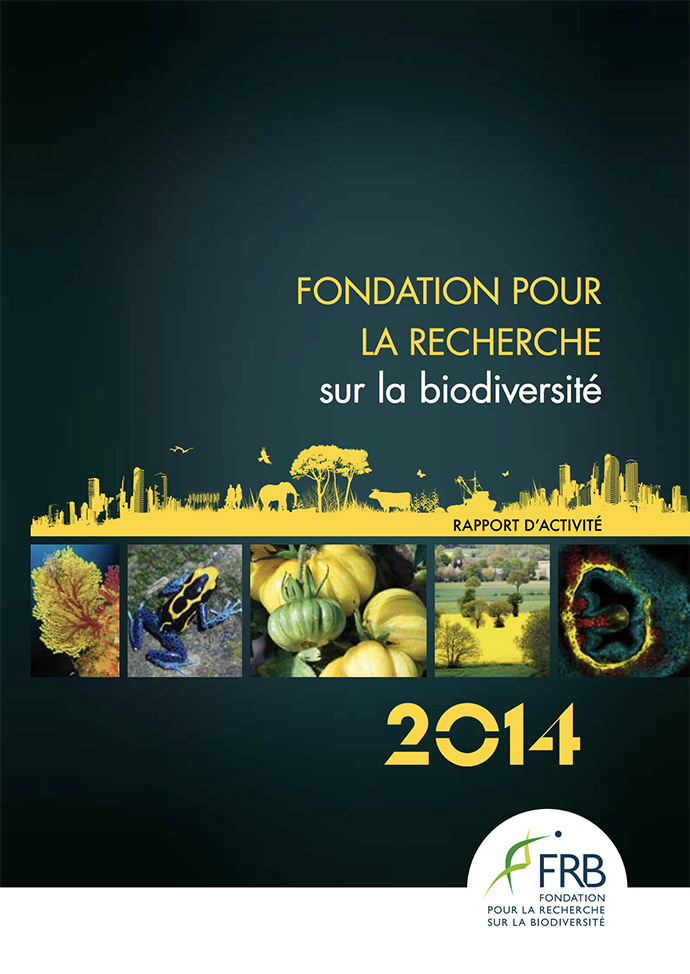 Rapport d’activité 2014
