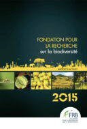 Rapport d’activité 2015