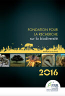 Rapport d’activité 2016