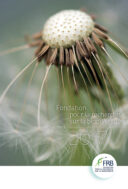 Rapport d’activité 2017