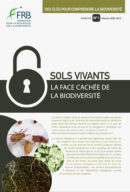 Sols vivants – La face cachée de la biodiversité