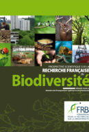 Prospective scientifique 2009-2012