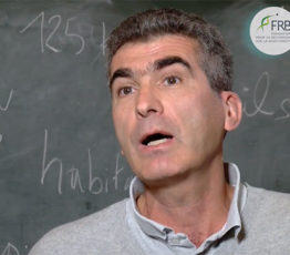 Comment les terrils du nord de la France sont-ils devenus des îlots de biodiversité ?