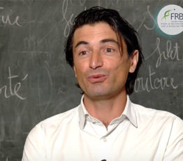 Les arbres : les grands alliés des sols