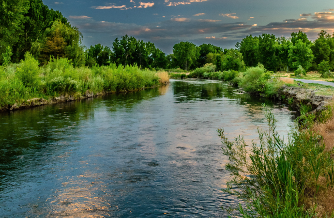 La pollution antibiotique des eaux de surface : occurrence et effets