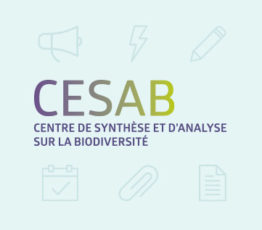 Joint Call CESAB- sDiv SYNERGY: Coexistence and stability in high-diversity communities