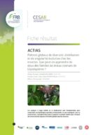 Actias | Patrons globaux de diversité, distribution et singularité évolutive chez les insectes