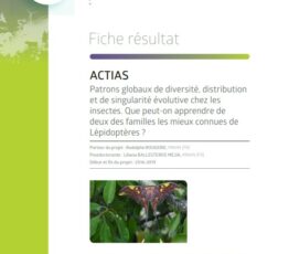 ACTIAS | Global patterns of insect diversity, distribution and evolutionary distinctness