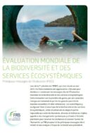 Évaluation mondiale de la biodiversité et des services écosystémiques – Les principaux messages de l’évaluation Ipbes