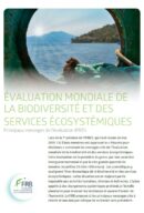 Évaluation mondiale de la biodiversité et des services écosystémiques – Les principaux messages de l’évaluation Ipbes