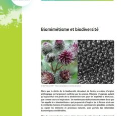 Biomimétisme et biodiversité