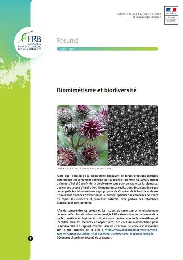 Biomimétisme et biodiversité