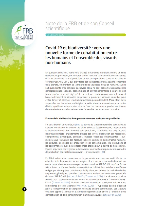 Covid-19 et biodiversité : vers une nouvelle forme de cohabitation entre les humains et l’ensemble des vivants non-humains