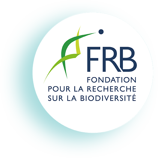 [Appel à prestataire] Désignation d’un prestataire pour réaliser une revue de littérature sur les impacts des chaînes de production-consommation de produits de la mer européens sur la biodiversité et la société.