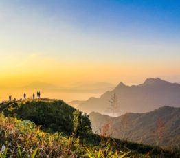 [Appel à projets FRB-Cesab 2024]