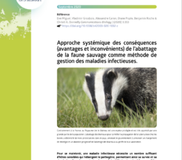 Approche systémique des conséquences (avantages et inconvénients) de l’abattage de la faune sauvage comme méthode de gestion des maladies infectieuses