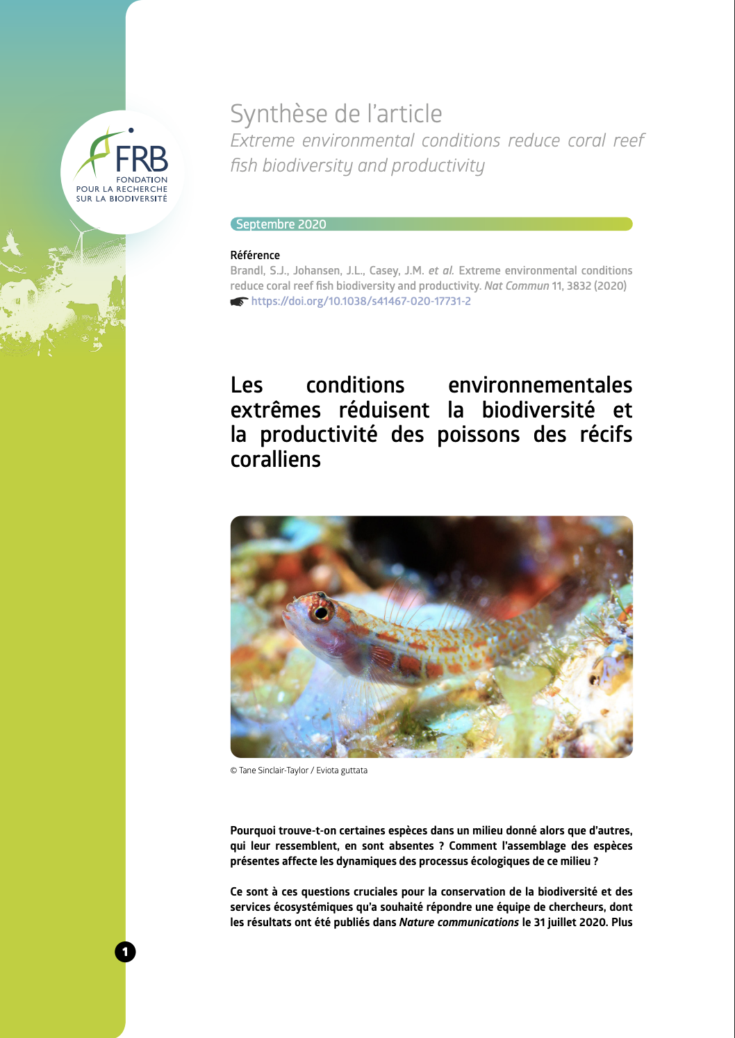 Les conditions environnementales extrêmes réduisent la biodiversité et la productivité des poissons des récifs coralliens