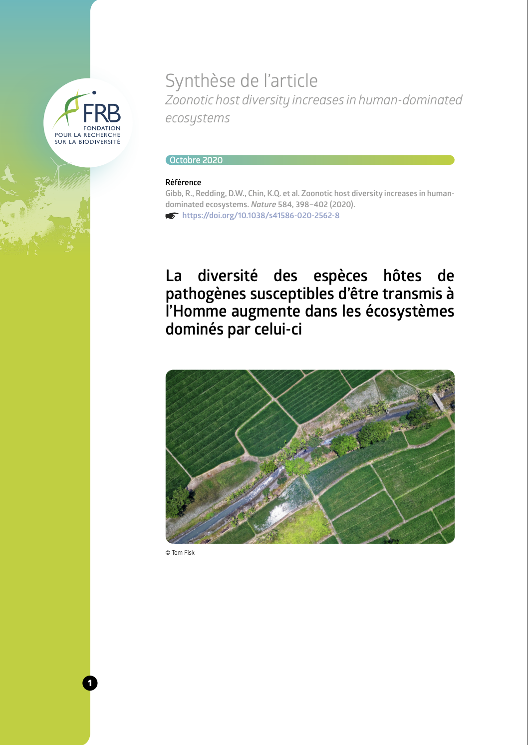 La diversité des espèces hôtes de pathogènes susceptibles d’être transmis à l’Homme augmente dans les écosystèmes dominés par celui-ci