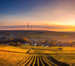 [Appel à relecture – Ipbes] Évaluation « Entreprises et biodiversité »