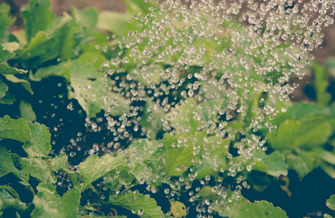 [#ScienceDurable] Ce mois-ci, la campagne s’intéresse à la thématique “agriculture et biodiversité”