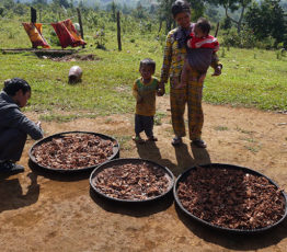 L’ethnopharmacologie