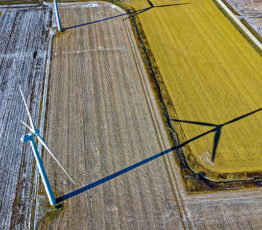 #ScienceDurable – Liens entre énergies renouvelables et biodiversité