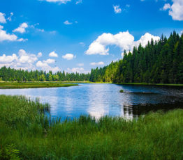 [Appel à relectures – Ipbes]  Conceptualisation des valeurs multiples de la nature