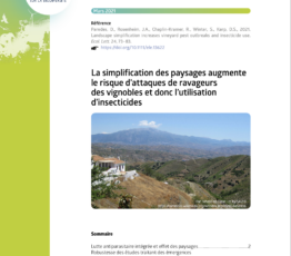 La simplification des paysages augmente le risque d’attaques de ravageurs des vignobles et donc l’utilisation d’insecticides