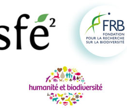 [Appel à candidatures] Bourse « Ecologie impliquée » 2022