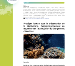 Protéger l’océan pour la préservation de la biodiversité, l’approvisionnement en nourriture et l’atténuation du changement climatique