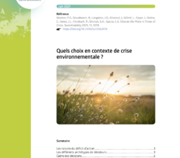 Quels choix en contexte de crise environnementale ?