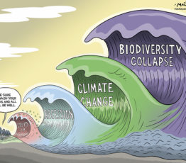 [FRB-CESAB] Newsletter 5 CESAB – July 2021