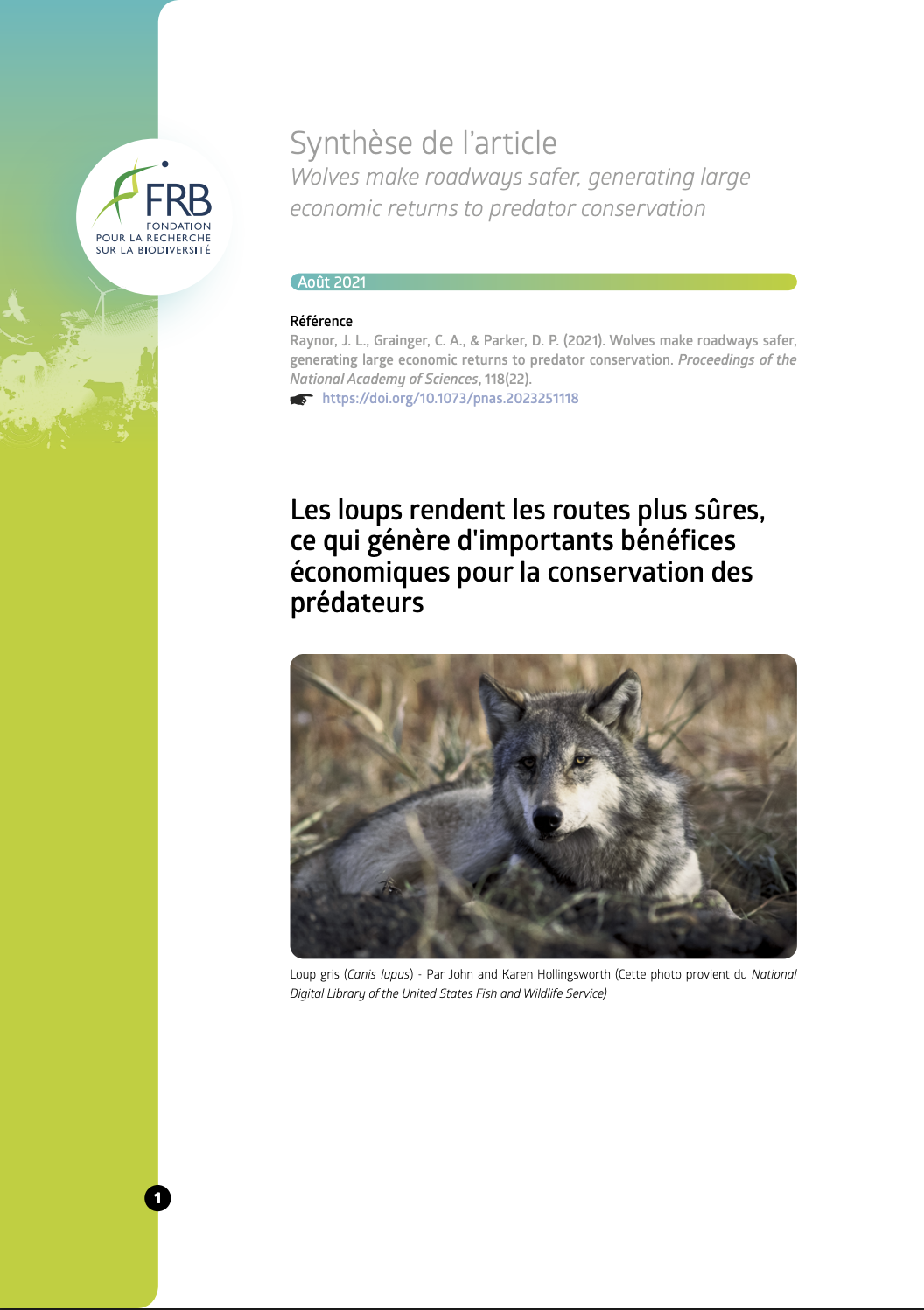 Les loups rendent les routes plus sûres, permettant d’importants bénéfices économiques