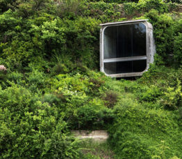 [Appel à relectures – Ipbes] Projet de cadre sur l’avenir de la nature