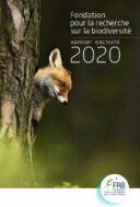 Rapport d’activité 2020