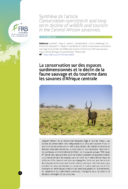 La conservation sur des espaces surdimensionnés et le déclin de la faune sauvage et du tourisme dans les savanes d’Afrique centrale