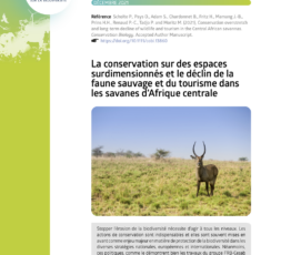 La conservation sur des espaces surdimensionnés et le déclin de la faune sauvage et du tourisme dans les savanes d’Afrique centrale