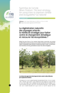 La régénération naturelle des paysages arborés : la meilleure stratégie pour lutter contre le changement climatique et restaurer les écosystèmes ?