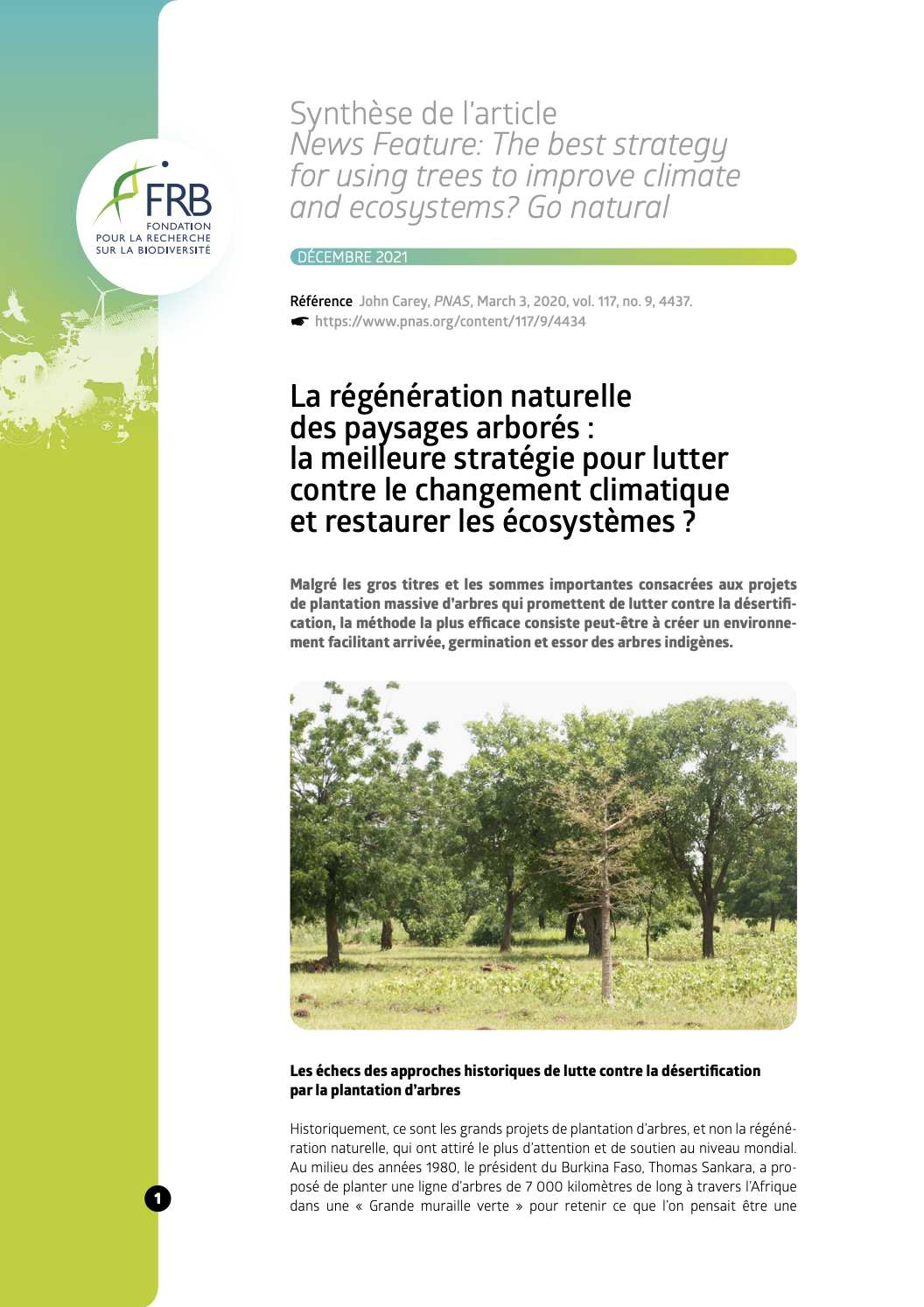 La régénération naturelle des paysages arborés : la meilleure stratégie pour lutter contre le changement climatique et restaurer les écosystèmes ?
