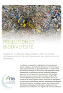 Pollution et biodiversité